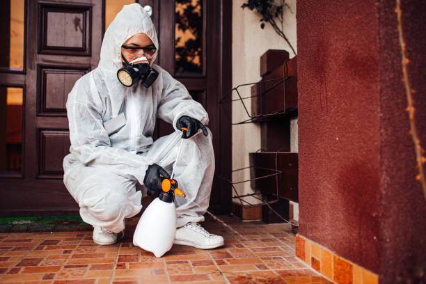 Reliable Cockroach Control contractor in El Segundo, CA by Nex Pest Control